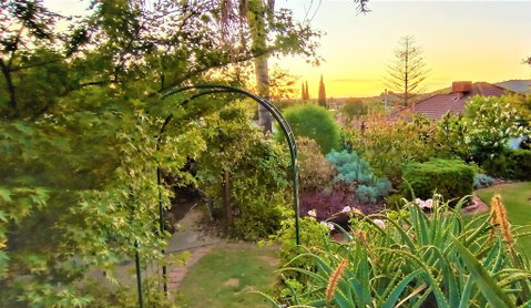 Treetops Escape - Accommodation Noosa 1