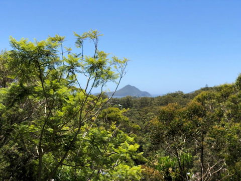 Ullora Road 38 - Accommodation Noosa 2