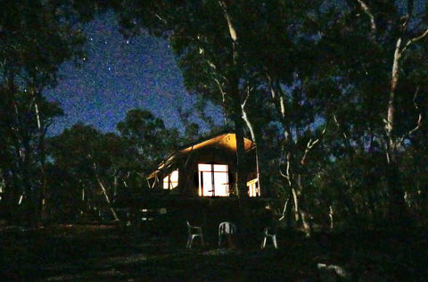 Wallabies Rest - Accommodation Noosa 2