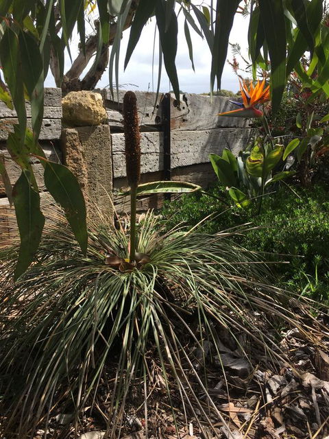 The PC Cottage - Accommodation Noosa 32