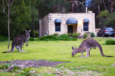 Marwood Villas - Accommodation Noosa 0