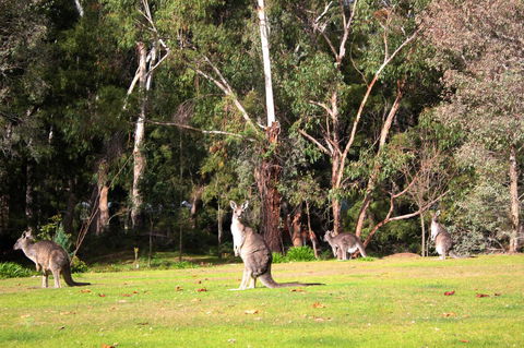 Marwood Villas - Accommodation Noosa 28