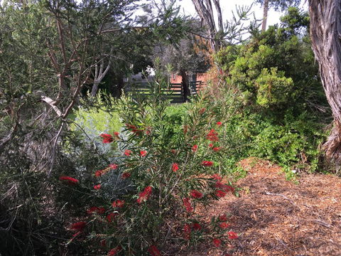 Andrew's On Topaz - Accommodation Noosa 1