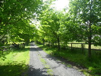 Book Wonga Park Accommodation Vacations Accommodation Noosa Accommodation Noosa