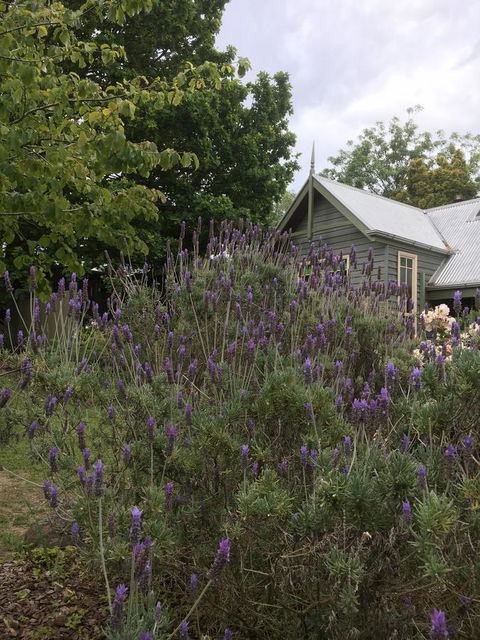 Oak Tree Lodge - Accommodation Noosa 25
