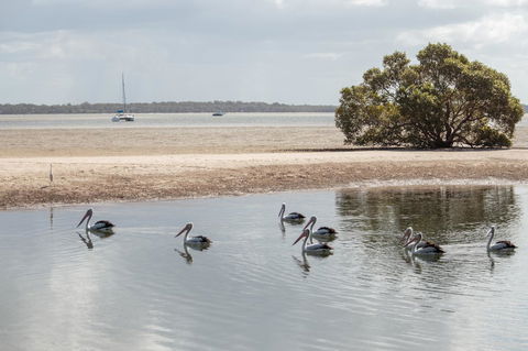 BIG4 Breeze Holiday Parks - Rainbow Beach - Accommodation Noosa 32