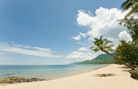 Thala Beach Nature Reserve - Accommodation Noosa 34