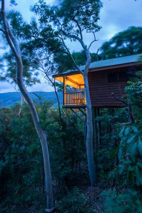 Thala Beach Nature Reserve - Accommodation Noosa 19