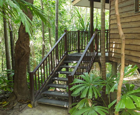 Thala Beach Nature Reserve - Accommodation Noosa 22