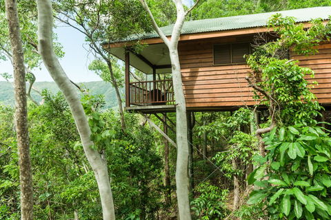 Thala Beach Nature Reserve - Accommodation Noosa 17