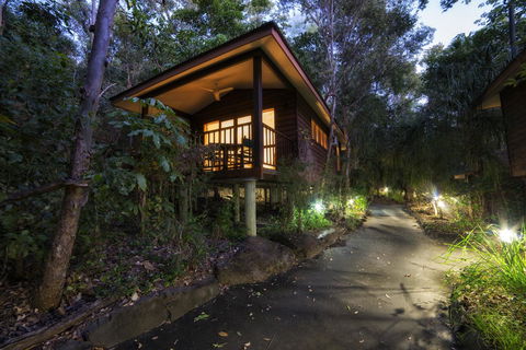 Thala Beach Nature Reserve - Accommodation Noosa 20