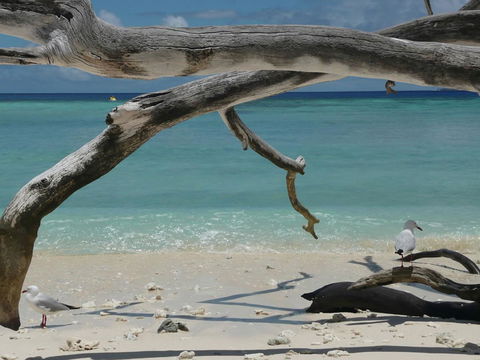 Beach Club Port Douglas Luxury Apartments - Accommodation Noosa 23