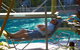 The Islander Noosa Resort - thumb 41
