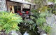 The Islander Noosa Resort - thumb 35
