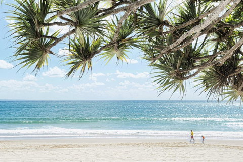 Netanya Noosa Beachfront Resort - Accommodation Noosa 38