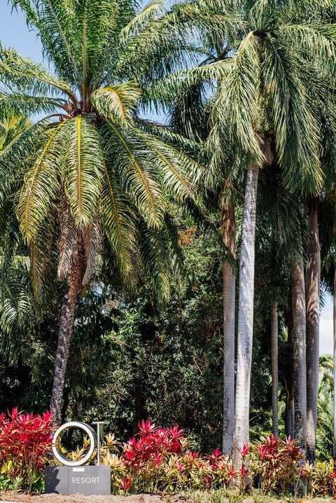 Oaks Port Douglas Resort - Accommodation Noosa 40
