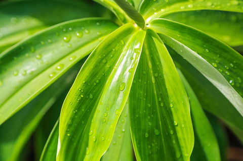 Port Douglas Motel - Accommodation Noosa 27