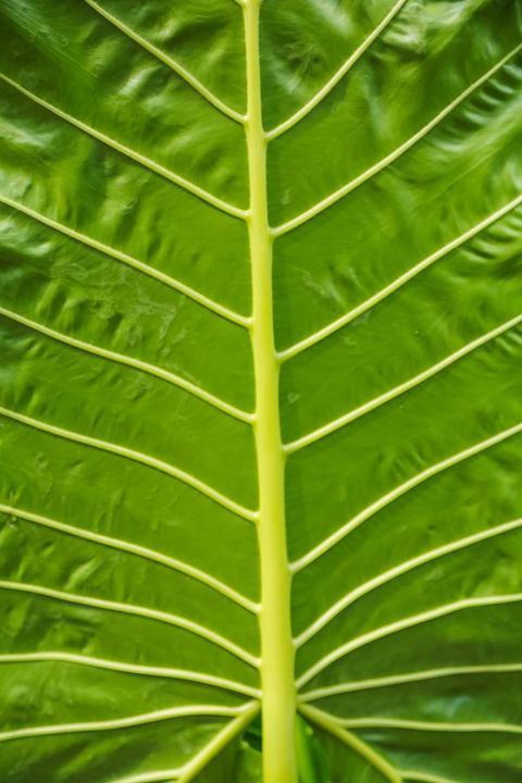 Port Douglas Motel - Accommodation Noosa 24