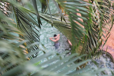 Coral Tree Inn - Accommodation Noosa 36