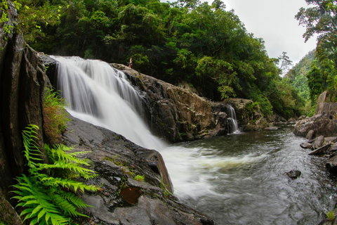 Coral Tree Inn - Accommodation Noosa 40