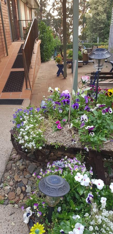 Manitzky Magic -B&B Home With Heart - Accommodation Noosa 8