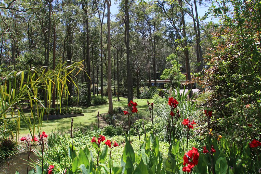 Mount Hutton NSW Accommodation Noosa