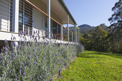 Wilderberry Cottage - Accommodation Noosa 3