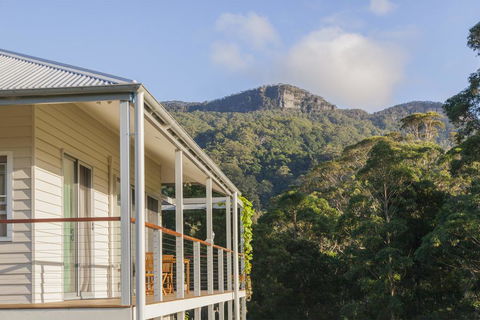 Wilderberry Cottage - Accommodation Noosa 1