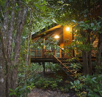 Wildwood - Accommodation Noosa