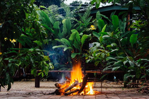 Wildwood - Accommodation Noosa 2