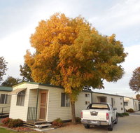 Wodonga Caravan  Cabin Park - Accommodation Noosa