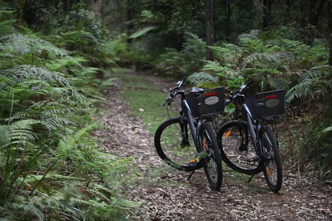 Woodlands Rainforest Retreat - Accommodation Noosa 2