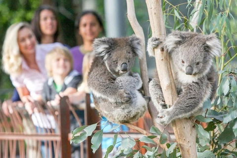 A 3BR Apt Next To Melbourne Zoo FREE Parking - Accommodation Noosa 2
