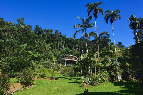 A Daintree Garden - Accommodation Noosa 0
