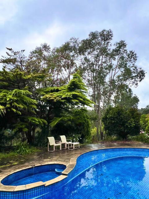 A Lovely Pool House In Forest - Accommodation Noosa 2