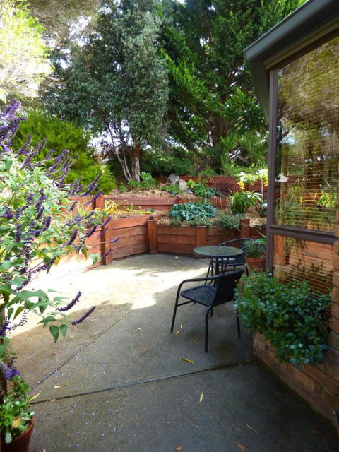 A Suite Spot In The Hills - Accommodation Noosa 4