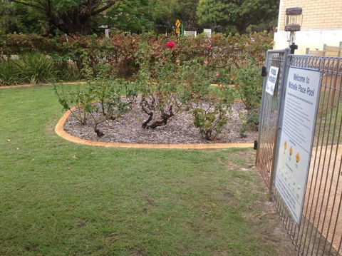 Affordable Inglewood Apartment+Pool - Accommodation Noosa 4