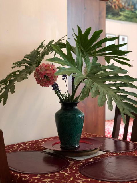 Albany Foreshore Guest House - Accommodation Noosa 2