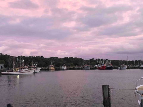 Aloha Iluka! - Accommodation Noosa 1