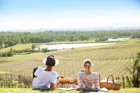 Audrey Wilkinson Vineyard - Accommodation Noosa 0