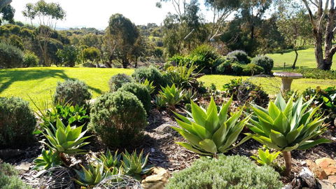 Austiny Bed And Breakfast Victor Harbor - Accommodation Noosa 2
