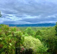 Daintree Manor BB - Accommodation Noosa