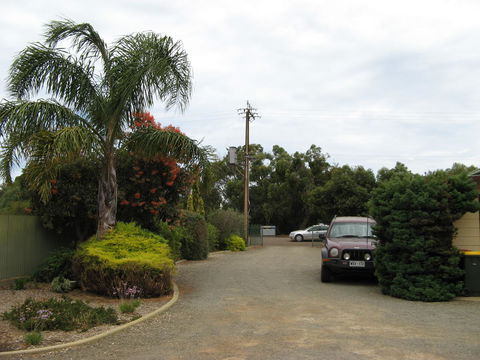 Ficifolia Lodge - Accommodation Noosa 1