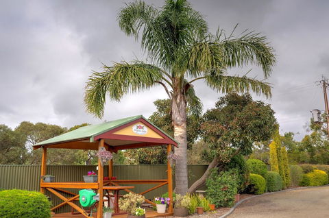 Ficifolia Lodge - Accommodation Noosa 8
