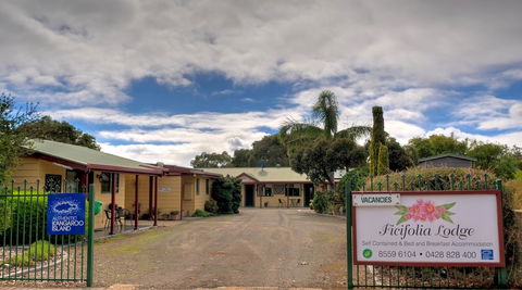 Ficifolia Lodge - Accommodation Noosa 0