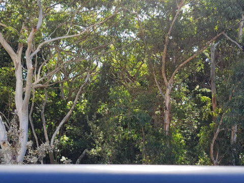 CHILL-OUT BEACHSIDE - Main Beach Forster - Accommodation Noosa 1