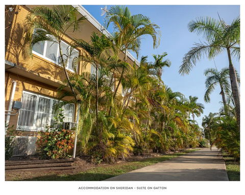 Accommodation On Sheridan - Accommodation Noosa 1