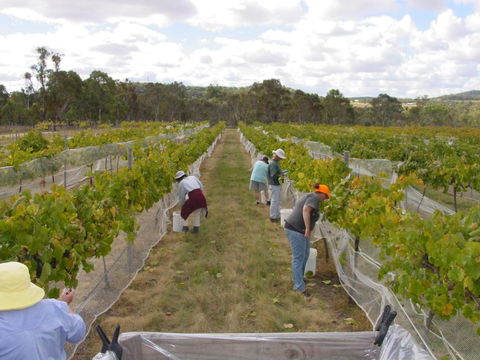 Fergies Hill Spa Cottage @ Granite Ridge Wines - Accommodation Noosa 2
