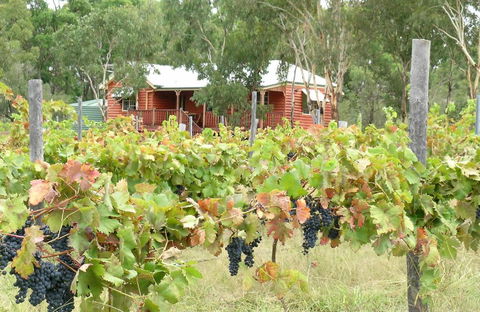 Fergies Hill Spa Cottage @ Granite Ridge Wines - Accommodation Noosa 0
