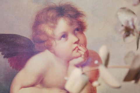 Fonton Blue Holiday Home Close To City And Airport - Accommodation Noosa 4